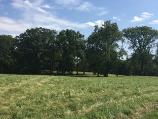 Property photo 4 - FARM AUCTION - 70.50+/- ACRES OFFERED IN 3 TRACTS IN WAYNE COUNTY, INDIANA